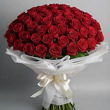 Букет 101 Красная роза Блэк Мэджик #REPLACE_PRED# Пономаревка Оренбургская область