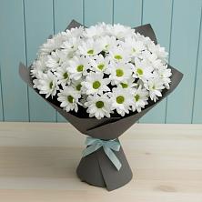 Букет цветов из:  Хризантемы в Пономаревка Оренбургская область