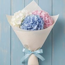 Букет цветов из:  Гортензия в Пономаревка Оренбургская область