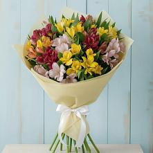 Букет цветов из:  Альстромерии в Пономаревка Оренбургская область