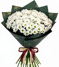 Букет цветов из:  Хризантемы в Пономаревка Оренбургская область