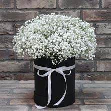 Цветочная композиция из Гипсофила в шляпной коробке #REPLACE_PRED# Пономаревка Оренбургская область