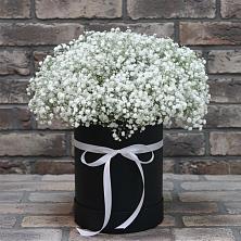 Цветочная композиция из Гипсофила в шляпной коробке в Пономаревка Оренбургская область