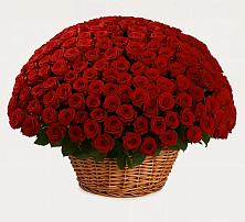 Премиум букет из: Розы в Пономаревка Оренбургская область