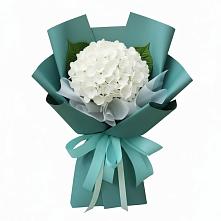 Букет цветов из:  Гортензия в Пономаревка Оренбургская область